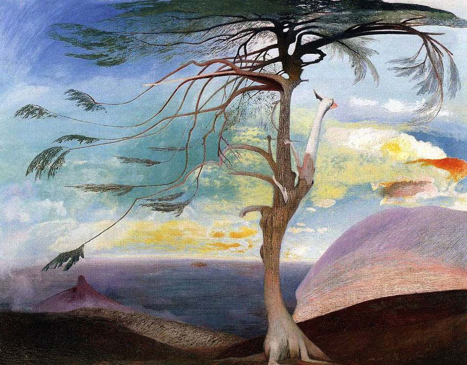 The Solitary Cedar